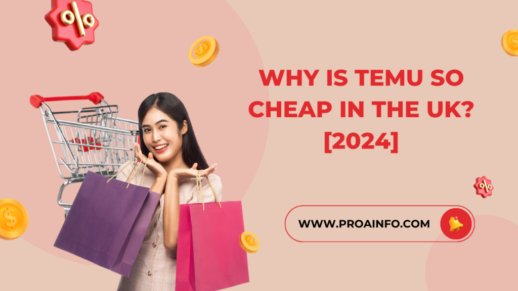 Why is Temu so Cheap in the UK? [2024]