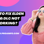 How to Fix Elden Ring Dlc Not Working?