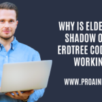 Why Is Elden Ring Shadow of the Erdtree Codes Not Working?